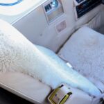 Aircraft For Sale Beechcraft Super King Air 200 Twin Turboprop Airmart 3 1